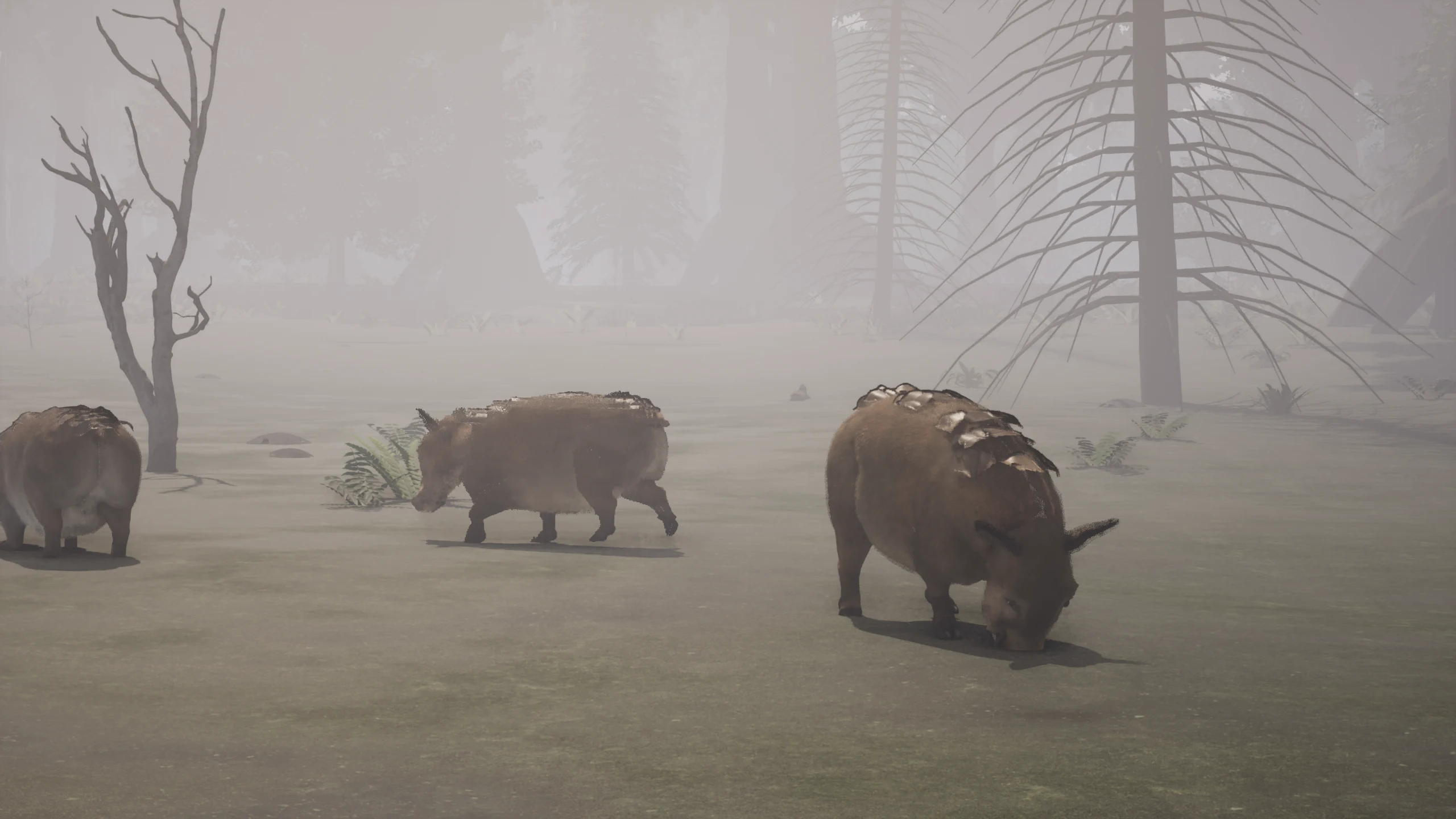 A Stoneback herd in the fog