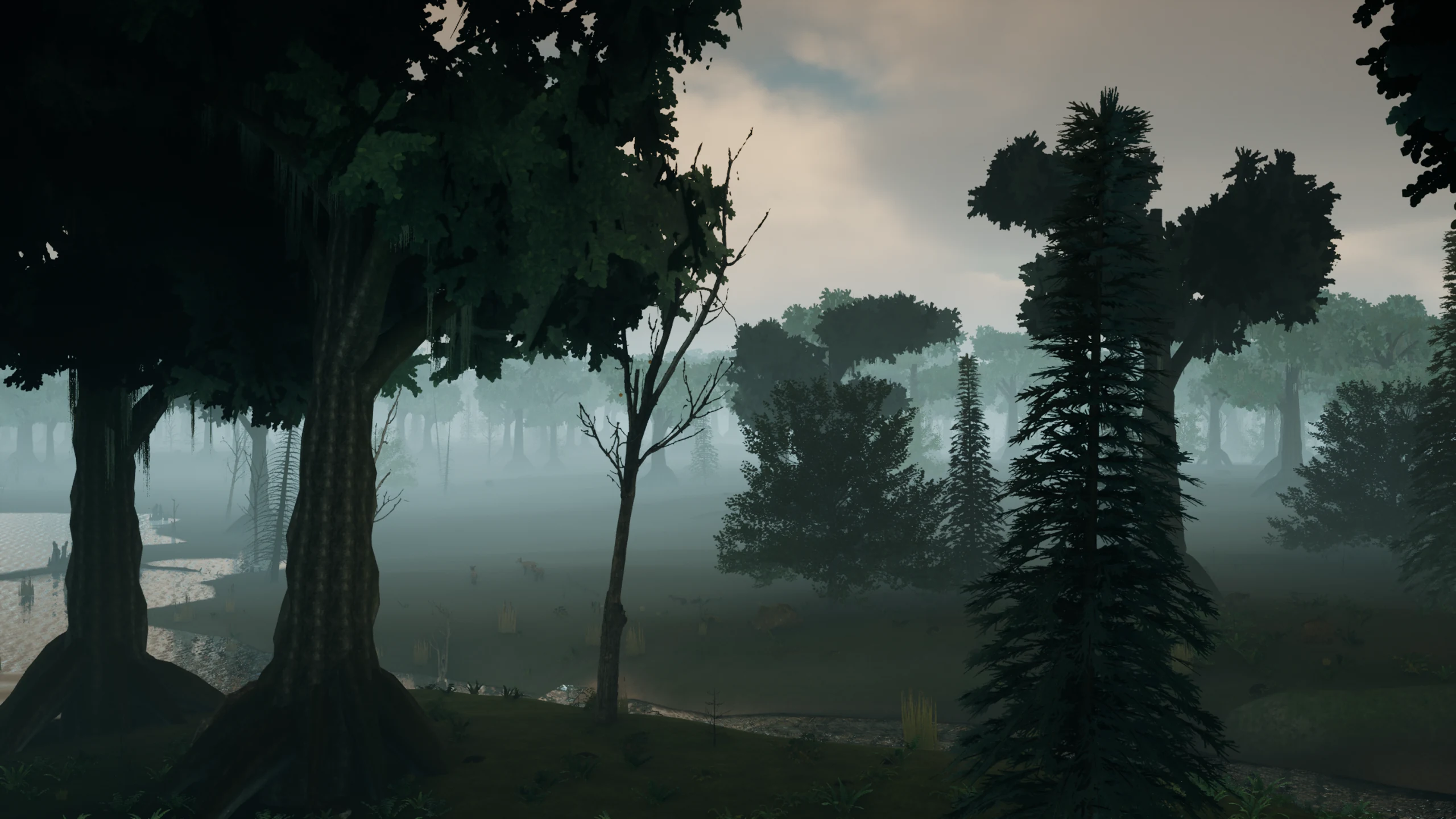 Tall trees frame a misty river valley floor in the Ancient Woodlands under a warm, cloudy evening sky.